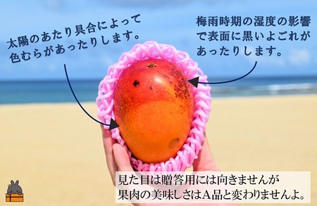 ≪先行予約≫訳あり！【家庭用】徳之島産完熟マンゴー2kg（4～8玉）フルーツ わけあり 訳あり 果物