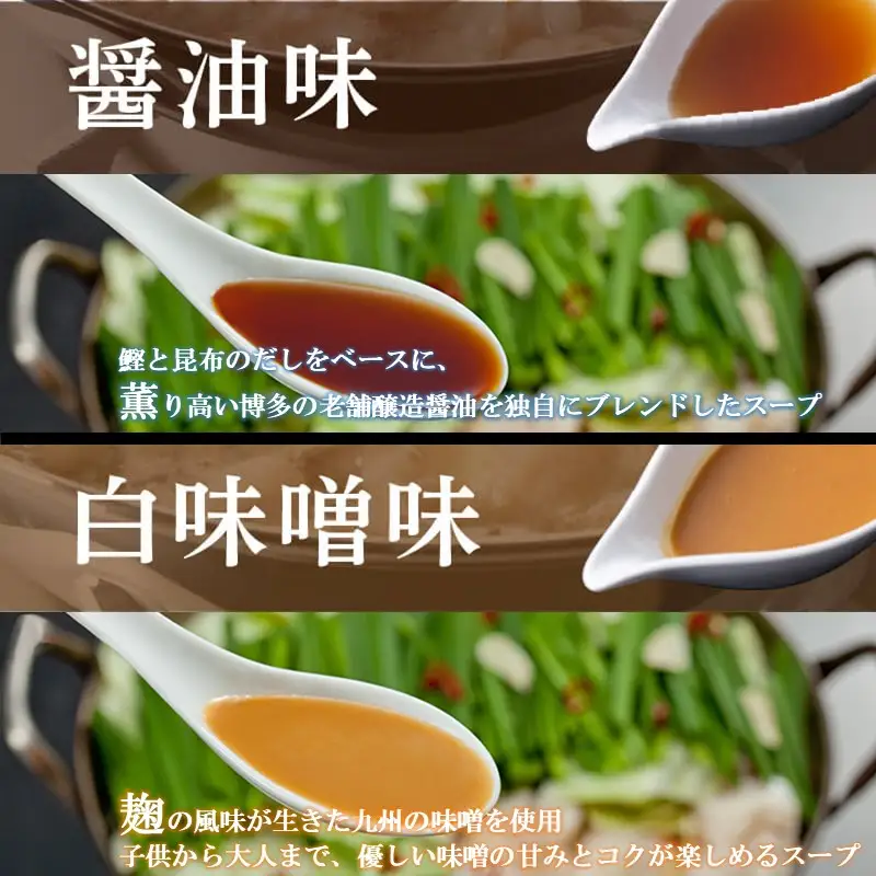 「上田商店」博多もつ鍋(各2人前)＆水炊き(2-3人前)【C-157】