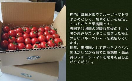 フルーツトマト 《4.8kg～7.2kg》 フルティカ