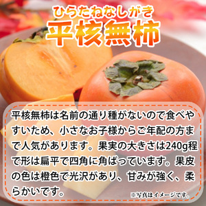 G7110_和歌山秋の味覚 平核無柿（ひらたねなしがき）約4kg 化粧箱入