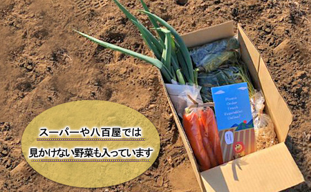 野菜 定期便 3ヶ月 1名様向け 野菜5種 セット 旬の野菜 生野菜 やさい 新鮮 鮮度 産地直送 詰め合わせ 冷蔵 千葉 定期 お楽しみ 3回 