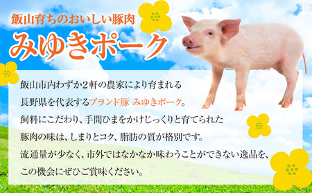 みゆきポーク 手作りハンバーグ （6個入り） （Bo-005）