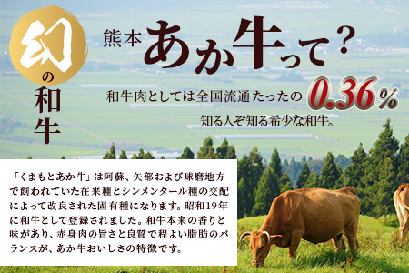 【 定期便 6回 】 熊本あか牛 焼肉用カット ( バラ ・ ロース ) 500g × 6回 【 合計 3kg 】 国産 牛肉 冷凍 熊本 熊本県産 あか牛 赤牛 切り落とし 041-0153