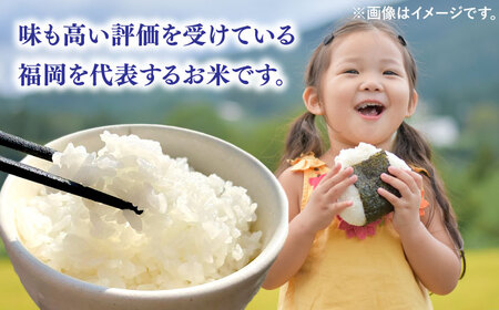  夢つくし 10kg 福岡県産 白米 [ADBB004] 米