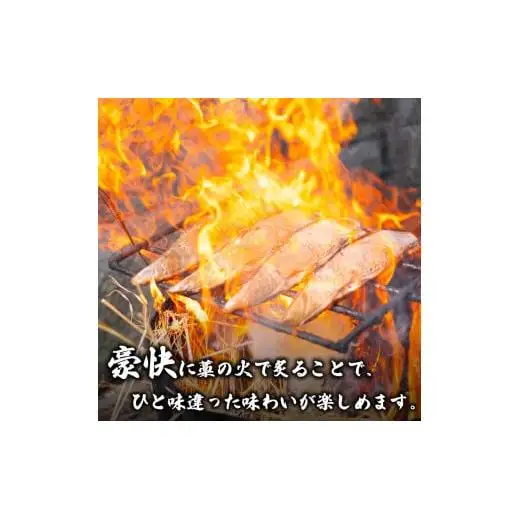 【 かつおたたき 】 かつおたたき2パック 塩付き 