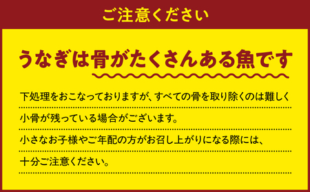 2485 【 定期 3回 】大隅特産 うなぎ蒲焼 4尾（680g）【 国産 】 KN060-T09 魚 冷凍 鰻 定期便
