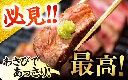 五島牛ヒレ 250g×2枚  [PAF032]  牛肉 国産 希少 ヒレ ヒレステーキ ステーキ 牛肉 国産 国産牛