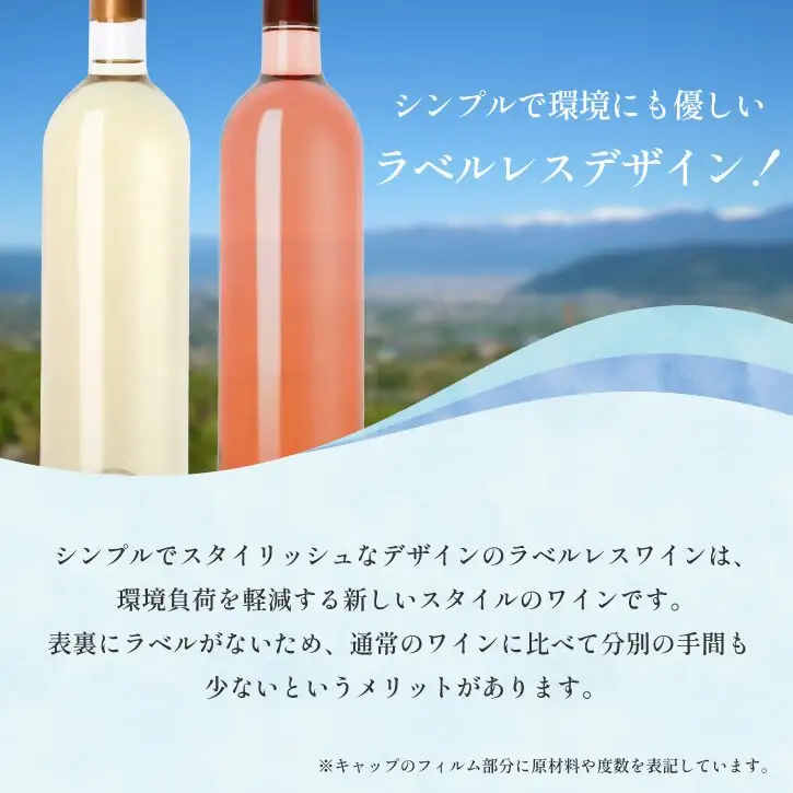 山梨 甲州 菱山 甲州種で造る手絞り甲州ワイン 白ワイン 辛口 1本 720ml ラベルレス（VYD）B-938