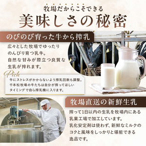 生乳の味を極めた特撰アイス19個セット 【千本松牧場】 ns025-011-19 お菓子 ｽｲｰﾂ ｱｲｽ 牧場 ｱｲｽｸﾘｰﾑ 牛乳 ｱｲｽ 生乳 ﾐﾙｸ ｱｲｽ ﾊﾞﾆﾗ