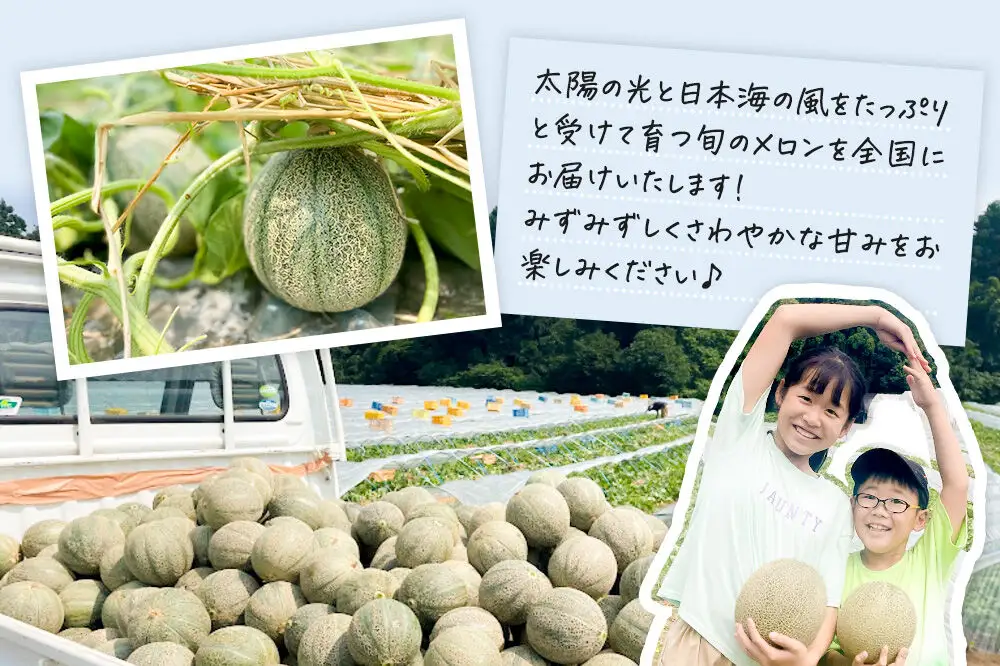 R8年度産 先行受付 メロン3L（1.3キロ前後）×2玉（秋田美人）秋田県 男鹿市