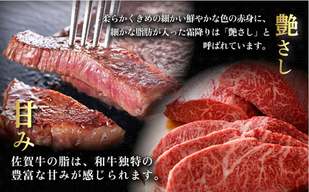 シャトーブリアン/ ヒレステーキ 計5kg