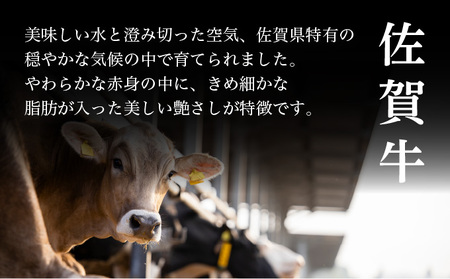 佐賀牛ヒレステーキ 200g