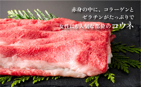 佐賀牛すき焼きセット 1kg (各500g×2種)
