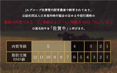 佐賀牛ハンバーグ 計5.4kg (150g×6個×6回)