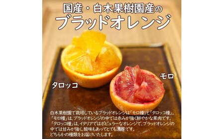 【先行予約】ブラッドオレンジ　約3kg　〈2027年2月中旬?3月中旬頃発送〉  / 果物　柑橘　フルーツ　オレンジ　高知県土佐市　お取り寄せ 産地直送　おいしい 美味しい　白木果樹園【白木果樹園】 [BQAI042]