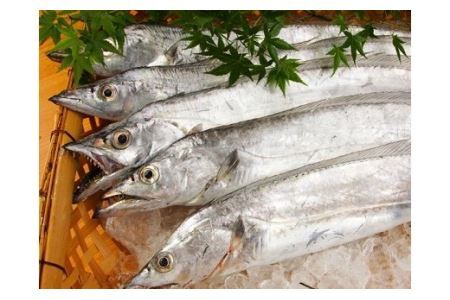 322 太刀魚の蒲焼き（100g）3本セット (B322-2)