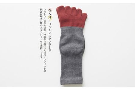 5本指ソックス春夏秋冬セット(22-24㎝)(B422-3)
