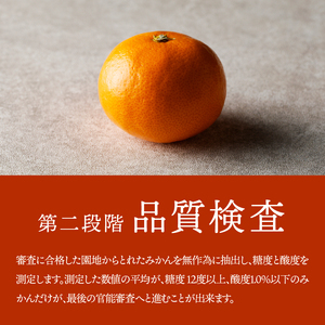 有田市認定みかん「未来への虹」至宝(3kg)【日本初自治体認定フルーツ】(B327-2)