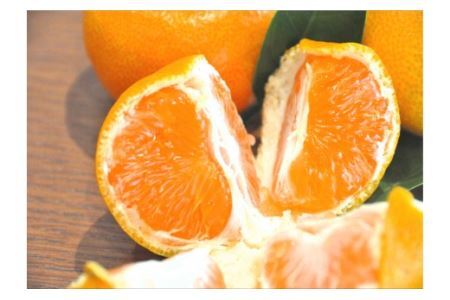 【大粒･2L】有田みかん「未来への虹」（約9kg）(B240-2)