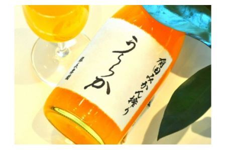 有田みかん搾り「うららか」6本セット(B292-2)