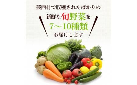 【先行予約】どっさり！新鮮野菜の詰合せ 7～10種類 