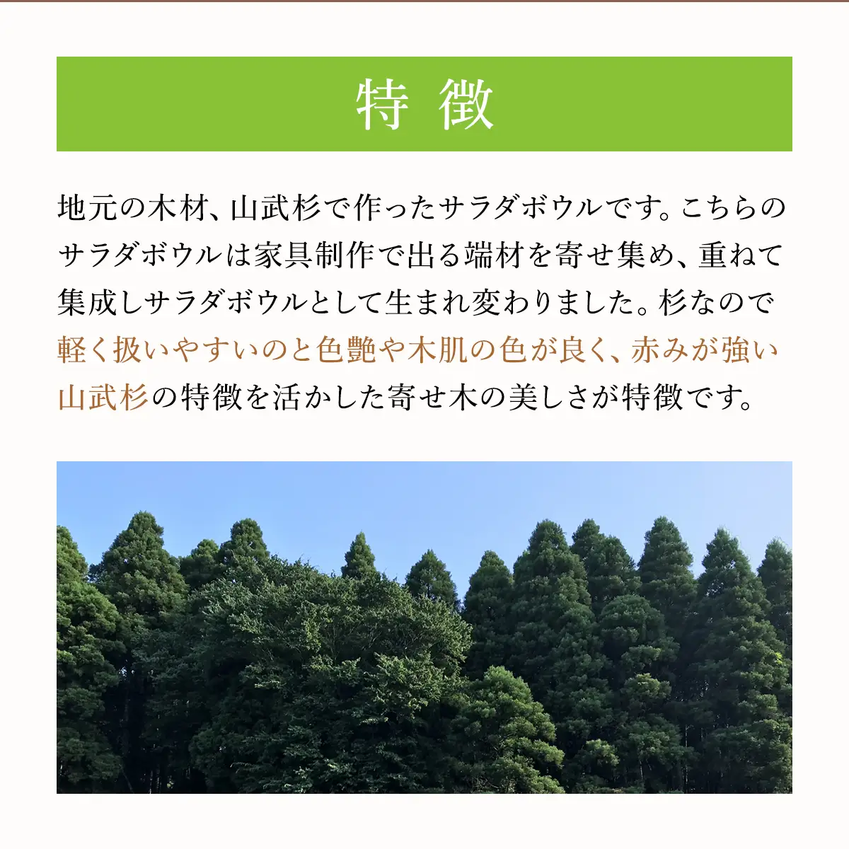 山武杉サラダボウル ／山武杉 天然木 お皿 自然 ぬくもり 杉 ギフト プレゼント 千葉県 山武市 SMP002