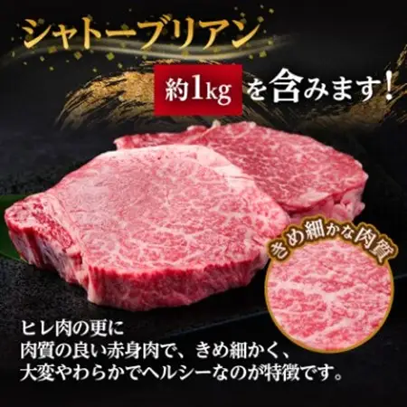 【毎月定期便】飛騨牛 ヒレ1本(約4～5kg)【シャトーブリアン＆ヒレ】冷蔵便全6回_肉 ステーキ 牛肉 ビーフステーキ  定期便 定期便  _【配送不可地域：離島】【4053254】