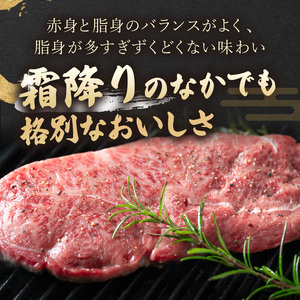 ステーキ 長崎和牛ミスジステーキ 約1kg【A4～A5】100g×10p 牛肉【C8-019】