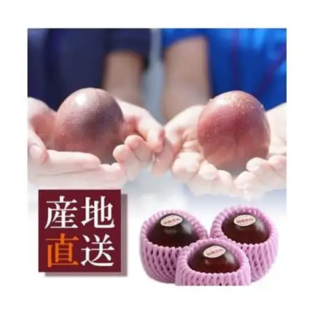 【先行受付】【訳あり】トロピカルパッションフルーツ約3Kg B3-111_果物・フルーツ   くだもの_【配送不可地域：離島】【1166522】