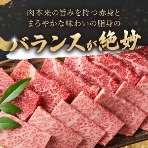 訳あり！【A4～A5】長崎和牛焼肉用 500g( 牛肉 牛 和牛 国産 焼肉 おすすめ 赤身 美味しい バーベキュー プレゼント ギフト 送料無料 お取り寄せ )【B2-205】