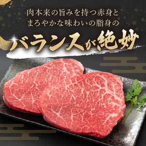 【A4～A5】長崎和牛モモステーキ 約500g(100g×5p)( 牛肉 和牛 長崎和牛 おすすめ ジューシー 焼き肉 ステーキ モモ 美味しい )【B2-210】