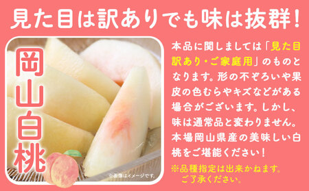 ご家庭用 岡山白桃 約1.3kg 赤木農園   
