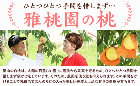 ご家庭用 旬の桃 約1.2kg (4~6玉前後) 株式会社創・和(雅桃園) 