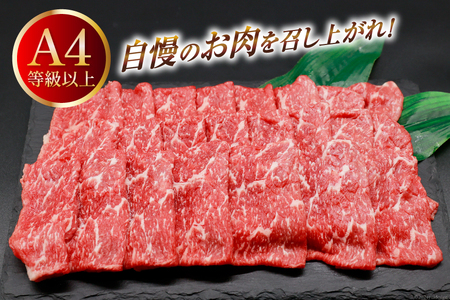 【A4等級以上】 肉 牛肉 宮崎牛 モモ赤身 スライス 600g [牛心フードサービス 宮崎県 美郷町 31bm0043]