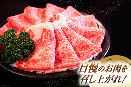 【A4等級以上】 肉 牛肉 宮崎牛 肩ロース しゃぶしゃぶ用 500g [牛心フードサービス 宮崎県 美郷町 31bm0034]