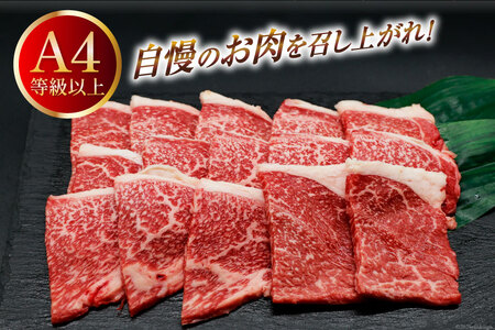 肉 牛肉 宮崎牛 牛うで肉 焼肉用 400g×2 計800g [牛心フードサービス 宮崎県 美郷町 31bm0053]