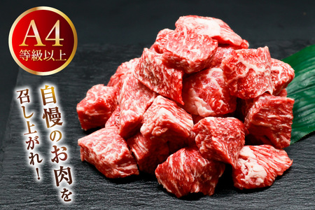 肉 牛肉 宮崎牛うで肉 サイコロカット 500g×2 計1kg [牛心フードサービス 宮崎県 美郷町 31bm0059]