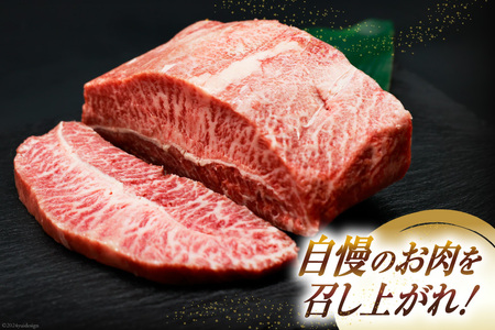 肉 牛肉 宮崎牛 牛みすじステーキ 450g [牛心フードサービス 宮崎県 美郷町 31bm0061]