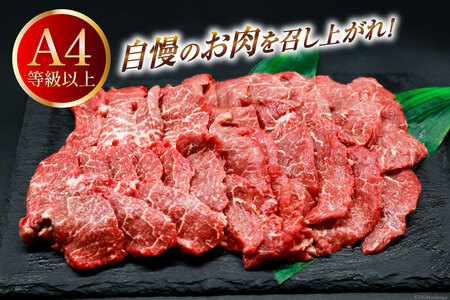 【A4等級以上】 肉 牛肉 宮崎牛 赤身 モモ赤身 焼肉用 500g×2 計1kg [牛心フードサービス 宮崎県 美郷町 31bm0047]