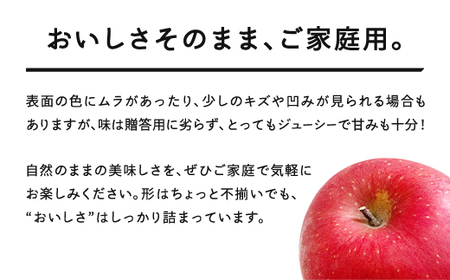 【先行予約】りんご サンふじ ご家庭用 約10kg(24~50玉) 山形県産 tf-risfm10
