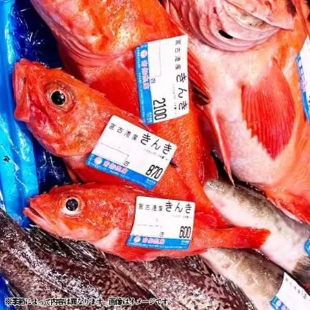 【三陸厳選】岩船商店おまかせ海産物詰め合わせセット_魚介・海産物  貝   魚介・海産物  鮮魚 _【配送不可地域：離島・沖縄県・九州】【1298317】