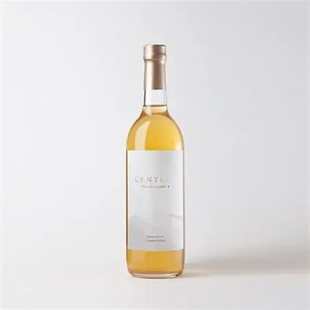 百年林檎ジュース「CENTURY」　720ml　3本セット　無添加ストレート【1110499】