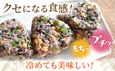 〈令和7年度産米〉 【全12回定期便】 水研ぎ不要 雑穀ごはん 無洗米 10kg 【株式会社 農産ベストパートナー】 令和7年産 [ZBP152]