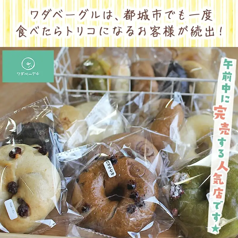 もちもちやわらかい牛乳屋さんのベーグル17個〔16-33-015〕_(都城市) シンプルな定番ミルクベーグル 全粒粉ベーグル 塩ベーグル プレーン ブランベーグル おまかせ ベーグルセット 牛乳100％使用 パン スイーツ 朝食