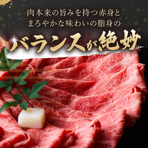 【A9-076】【厳選部位】【A4～A5】長崎和牛サーロインしゃぶしゃぶすき焼き用 300g