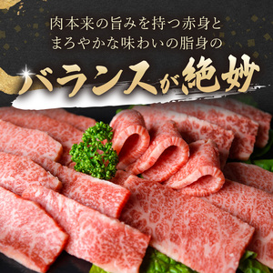 【訳あり】和牛焼肉用切り落とし 500g【A4～A5】牛肉切り落とし 焼肉【B1-188】