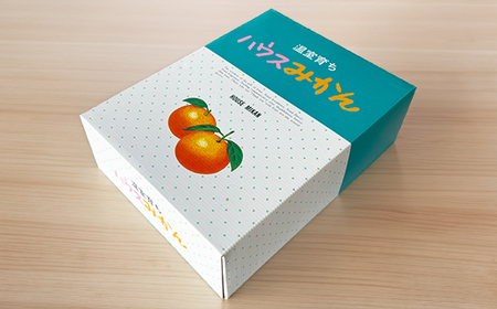 【期間限定発送】ハウスみかん 約2kg 専用箱 入り【オレンジ農園】2026年 7月 8月 夏 発送 甘い 果物 フルーツ ギフト 柑橘 温州 みかん 先行予約 数量限定 期間限定 九州 ＜114-002＞