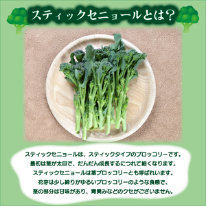 茎 ブロッコリー 1kg IM004-z
