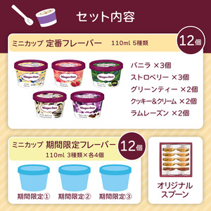 パーティーセット／ハーゲンダッツ