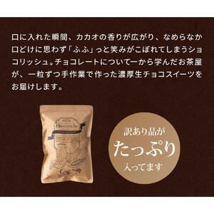 訳あり ショコリッシュ 550g チョコレート 約22～24個入り  ｜スイーツ スイーツ チョコレート